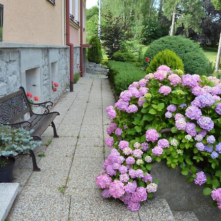 Penzion Ostravanka Hranice  Eksteriør bilde